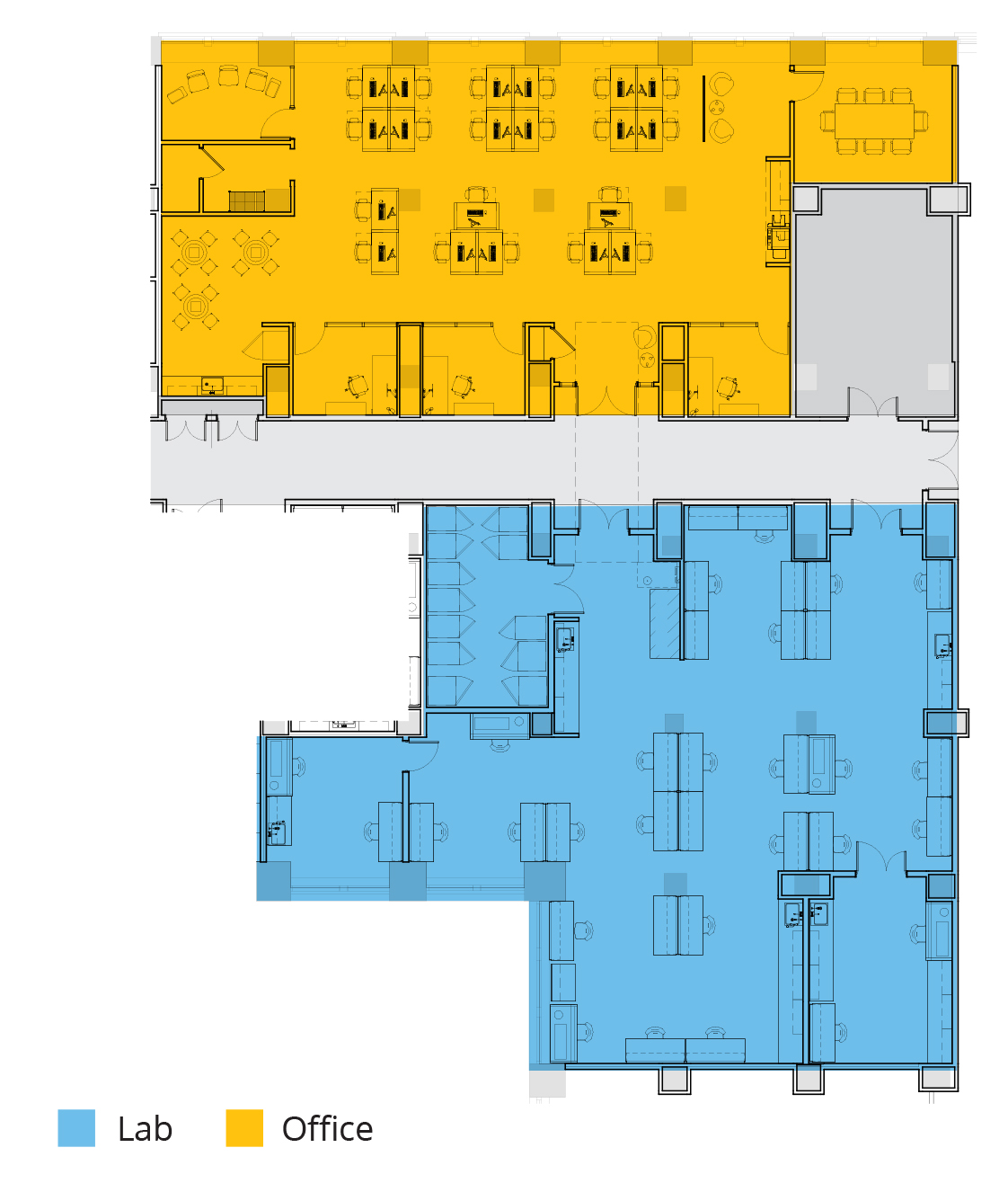 The Curtis Spec Labs_suite 01_floor plan